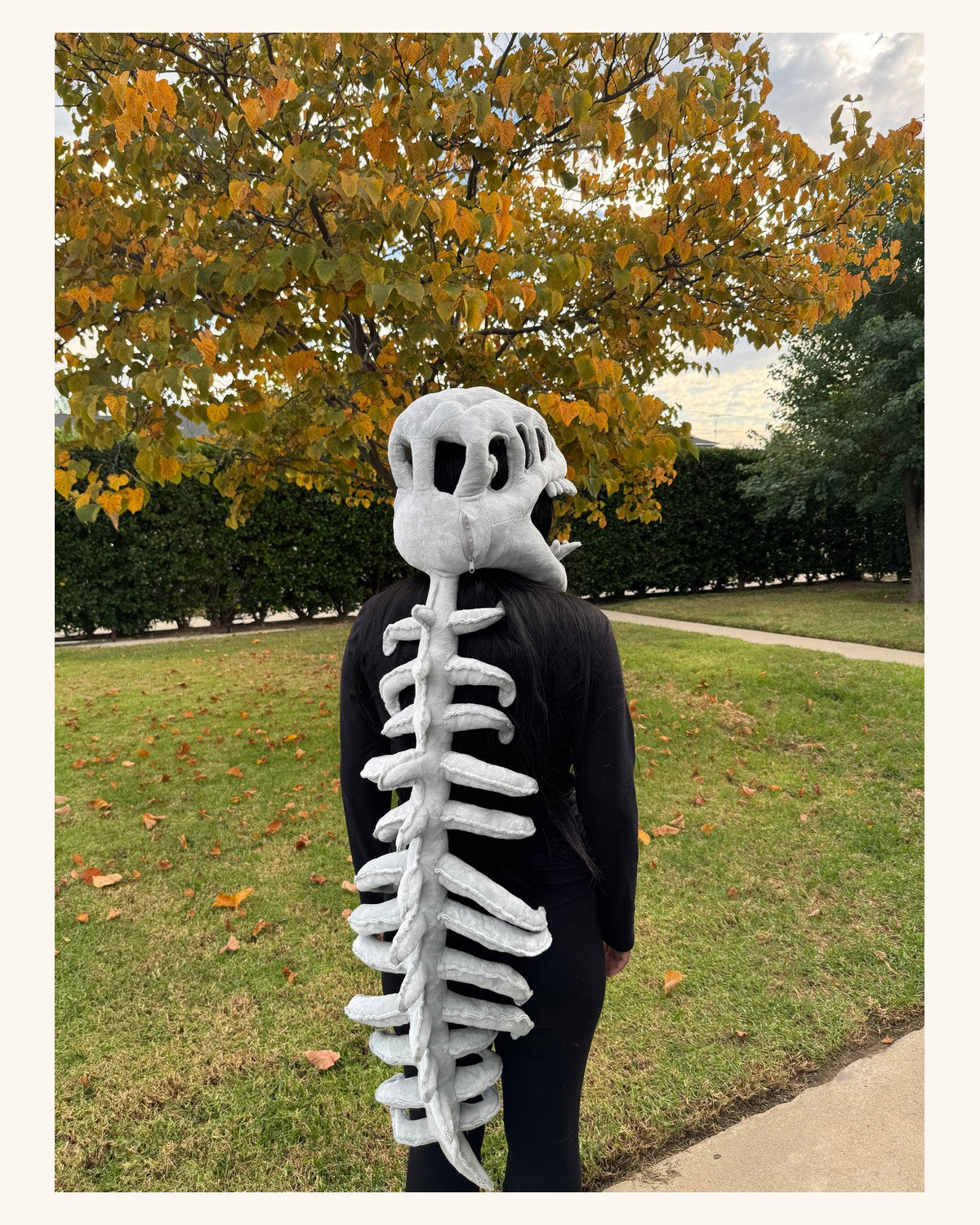 Cozysaurus worn - full spine back view
